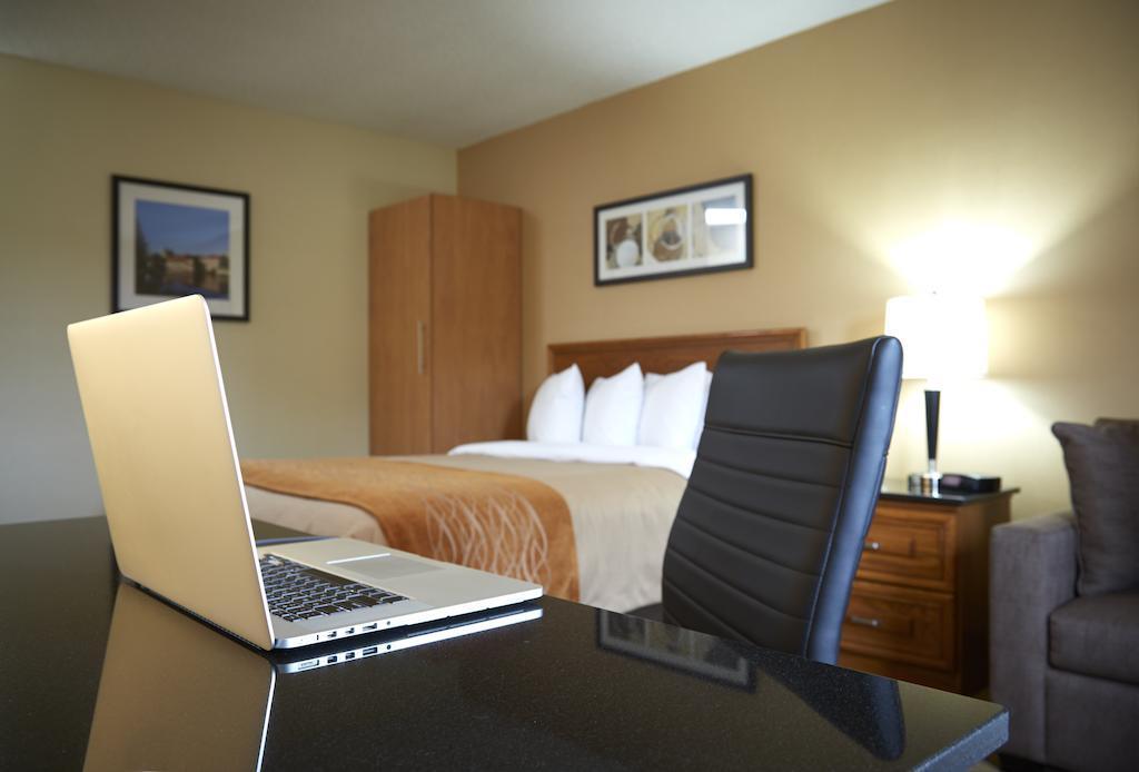 Comfort Inn Edmundston Exterior foto